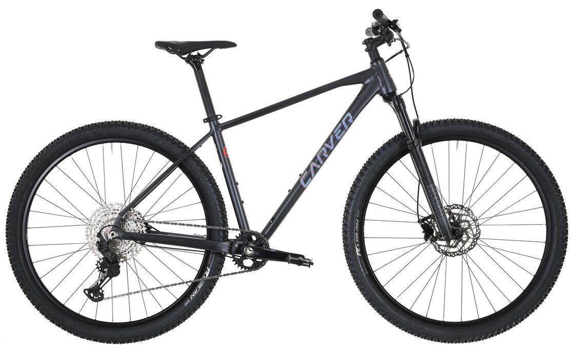 Carver Strict 170 – 29 Zoll – Diamant – 2024