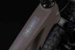 Santa Cruz Tallboy CC | X01 AXS | RSV | taupe – Image 5