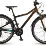 Winora Rage 26 – 26 Zoll – Diamant – 2024