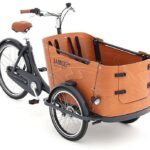 Babboe Go – 26 Zoll – Dreirad – 2024