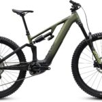 Cube AMS Hybrid 177 C:62 TM 600X reedgreen´n´gills 2027
