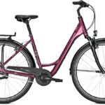 Raleigh Chester 7 – 28 Zoll – Tiefeinsteiger – Aktion