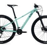 Liv Tempt 2 – 29 Zoll – Diamant – 2024