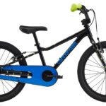 Cannondale Kids Trail FW – 20 Zoll – Diamant – 2025