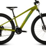 Cube Acid 260 Disc lizard´n´blue 2027