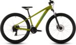 Cube Acid 260 Disc lizard´n´blue 2027
