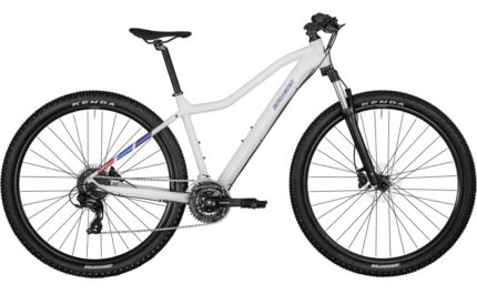 Bergamont Revox 3 FMN – 29 Zoll – Diamant – 2024