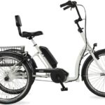 Pfau-Tec Combo – 500 Wh – 24 Zoll – Dreirad – 2023