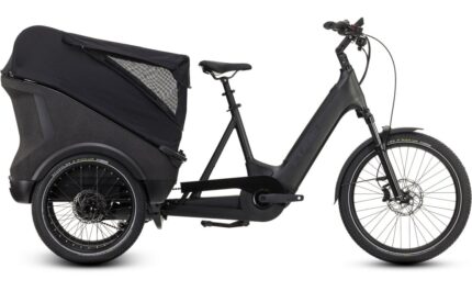 Cube Trike Hybrid Cargo 750 – 750 Wh – 24 Zoll – Dreirad – 2025