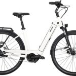 Kettler Quadriga P5 FL – 625 Wh – 28 Zoll – Tiefeinsteiger – 2025