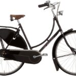 Gazelle Tour Populair RT – 28 Zoll – Tiefeinsteiger – 2025