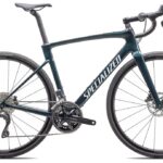 Specialized Roubaix Comp – 28 Zoll – Diamant – 2025