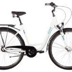 Passat Porto – 28 Zoll – Tiefeinsteiger – Aktion