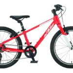 KTM Wild Cross 20 – 20 Zoll – Diamant – 2023