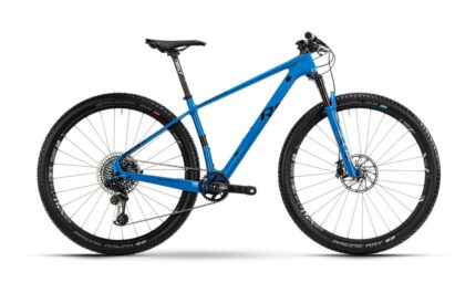 Raymon HardRay Nine 9.0 – 29 Zoll – Diamant – Aktion