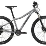 Cannondale Trail 5 – 29 Zoll – Diamant – 2024