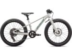 Specialized RIPROCK 20 INT DUNE WHITE/PINE GREEN