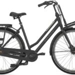 Gazelle HeavyDutyNL – 28 Zoll – Tiefeinsteiger – 2025