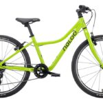 Naloo Chameleon 24″ MK2 – 24 Zoll – Diamant – 2023