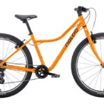 Naloo Chameleon 26″ MK2 – 26 Zoll – Diamant – 2023