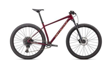 Specialized Chisel – 29 Zoll – Diamant – Aktion