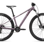 Liv Tempt 3 – 29 Zoll – Diamant – 2024