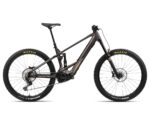 Orbea WILD M20 Cosmic Carbon View