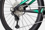 Cannondale Scalpel Carbon 4 Jungle Green – Bild 5