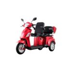 COCO – Elektromobil mit 3 Rädern, 2 Sitzen, 1000 Watt, für Menschen mit eingeschränkter Mobilität und Senioren
