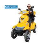 electroride Fasti 4 Max, 1000 Watt, Elektromobil mit 4 Rädern, für Menschen mit eingeschränkter Mobilität, straßenzugelassen