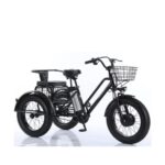 Fatbike-Cross-Dreirad für 2 Personen, für Menschen mit eingeschränkter Mobilität, 500 Watt