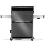 Napoleon Rogue PRO-S 525 RSIB Gasgrill – Image 5